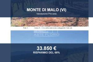 Immobile in asta di 29963 m² a Monte di Malo