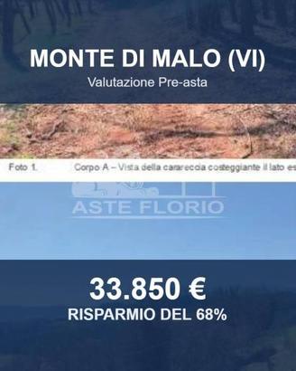 Immobile in asta di 29963 m² a Monte di Malo