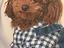 Immagine 4
