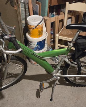 Bicicletta mountain bike farina