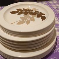 Completo piatti Guzzini foglie melanina anni '70