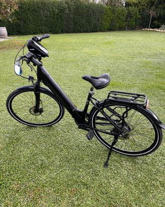 Bicicletta elettrica