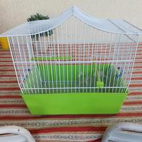 Gabbietta piccola per uccelli