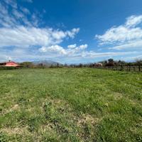 Valmontone: terreno agricolo pianeggiante