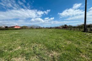 Valmontone: terreno agricolo pianeggiante