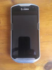 TERMINALE  Zebra