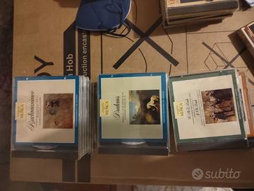 17 Compact disc "i maestri della musica"