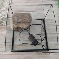 Terrario con filtro acqua