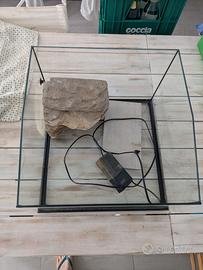 Terrario con filtro acqua