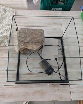 Terrario con filtro acqua