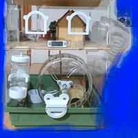 Criceto casa acc animali roditori