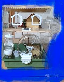 Criceto casa acc animali roditori