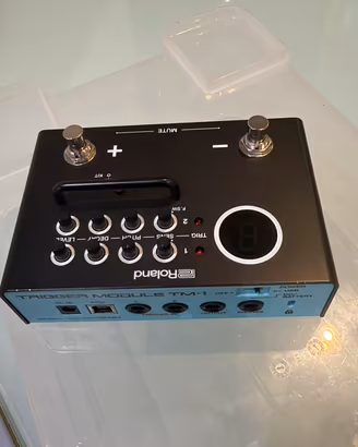 Roland TM-1 + Cavo Y - 120€
