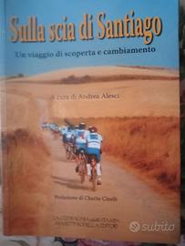 sulla scia di Santiago 