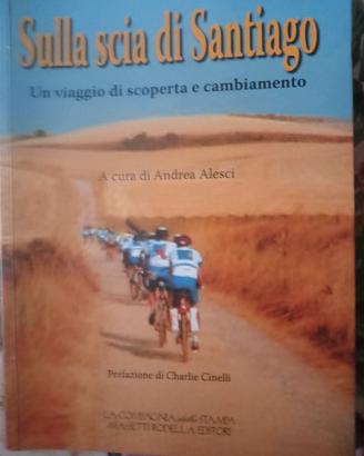 sulla scia di Santiago 