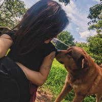 Animali, natura.pulizia, babysitter vario