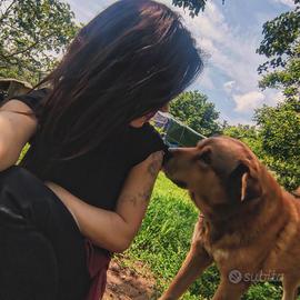 Animali, natura.pulizia, babysitter vario