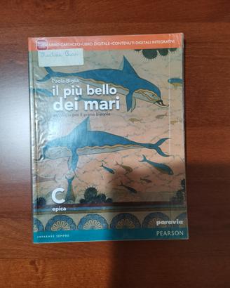 Il più bello dei mari C 9788839526298