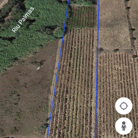 Terreno con vignetto