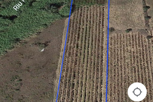 Terreno con vignetto