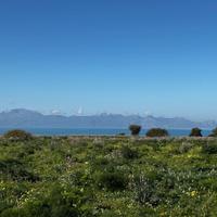 Terreno, Terrasini.