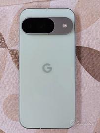 Google Pixel 9 256 GB+ accessori 