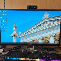 monitor gaming aoc 25 pollici 240Hz