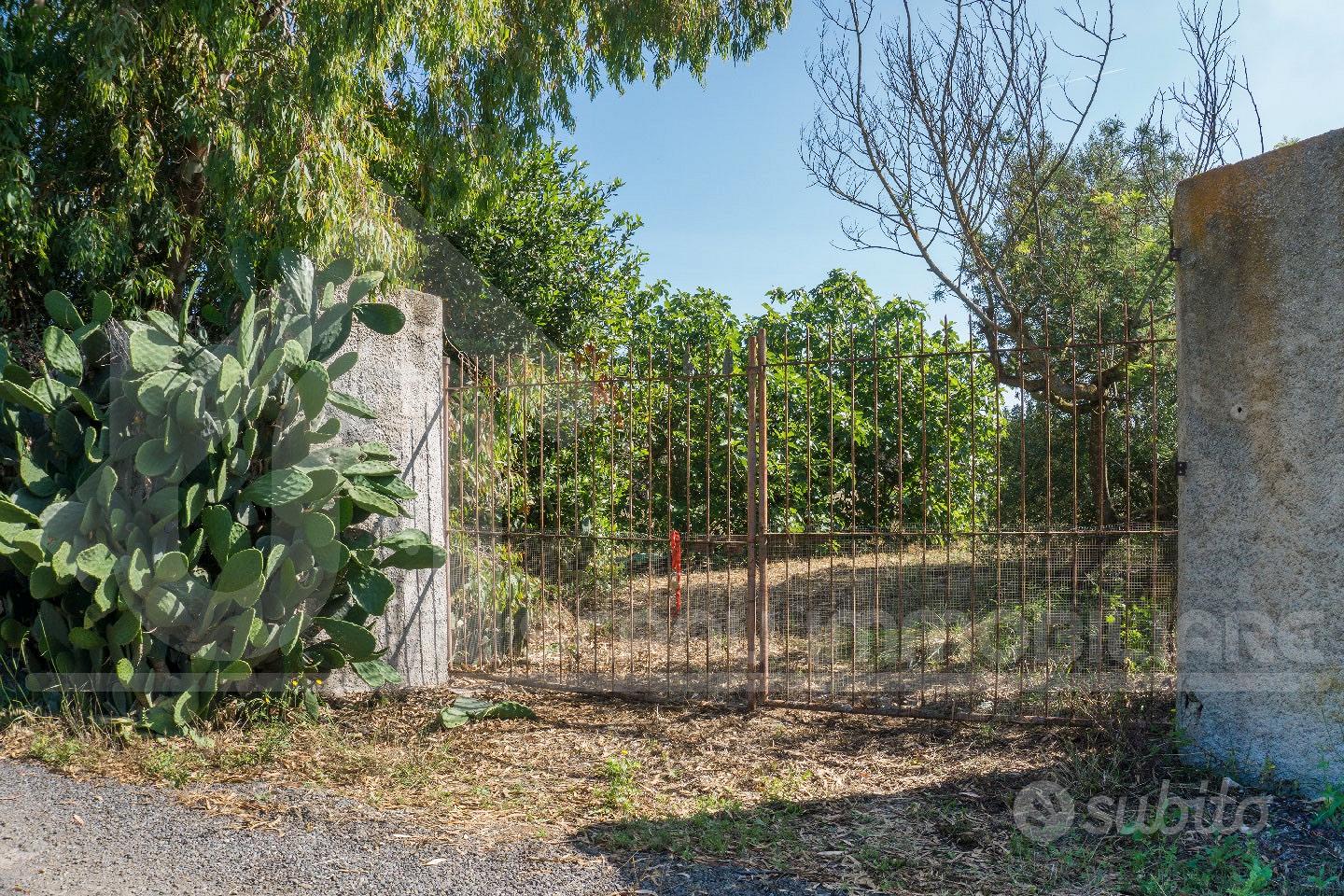 Monastir terreno agricolo con pozzo e elettricità - Altro