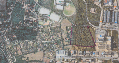 Terreno zona commerciale