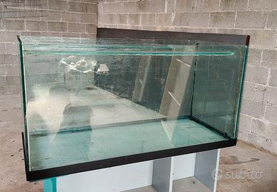 acquario e accessori 