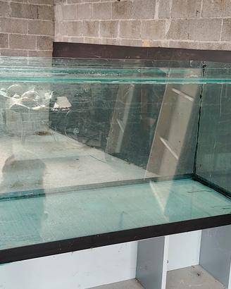 acquario e accessori 