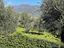 Immagine 11
