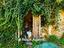 Immagine 17