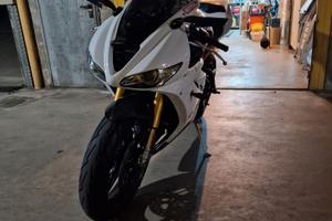 triumph daytona 675R 2012