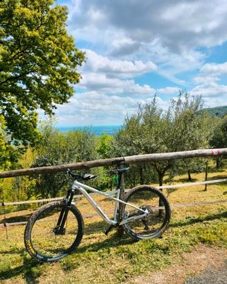 orbea laufey MTB 29