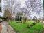 Immagine 22