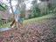 Immagine 25