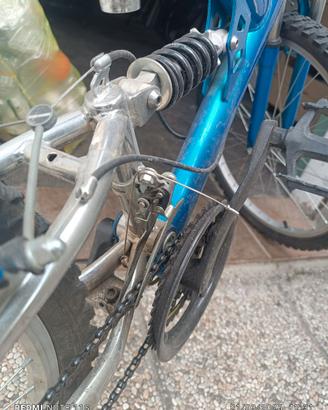 Mountain bike ragazzo cerchio 24