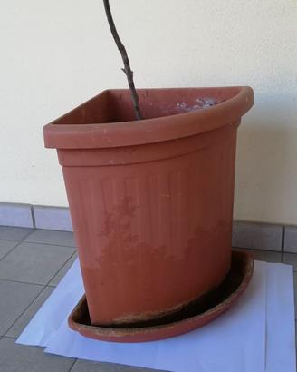 Vaso fioriera angolare in plastica