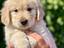 Immagine 15