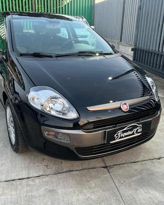 FIAT Punto 1.3 MJT II 75 CV 5 porte Young
