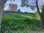 Immagine 6