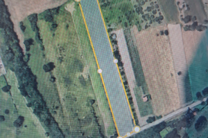 Terreno agricolo in Airola