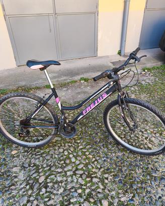 bici da donna 