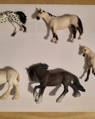 Cavalli