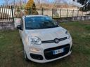 fiat-panda-1-2-easy-unico-proprietario