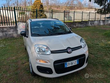 Fiat Panda 1.2 Easy UNICO PROPRIETARIO