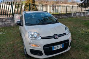 Fiat Panda 1.2 Easy UNICO PROPRIETARIO