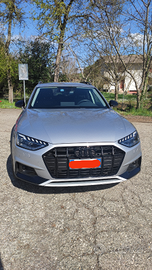 Audi allroad TDI 204cv