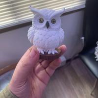 Hedwig civetta di Harry Potter